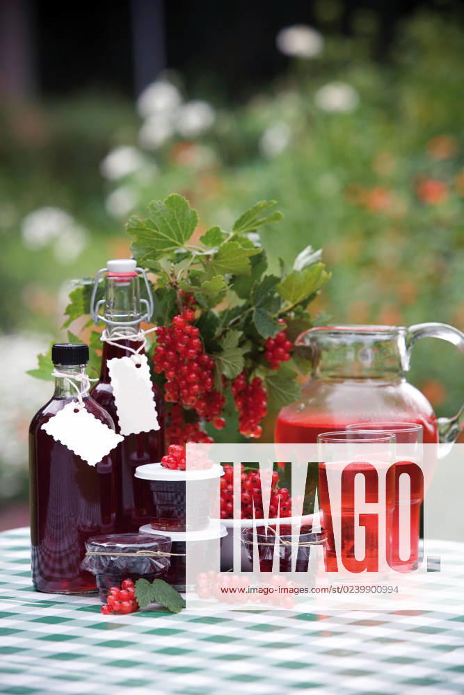 Red currant