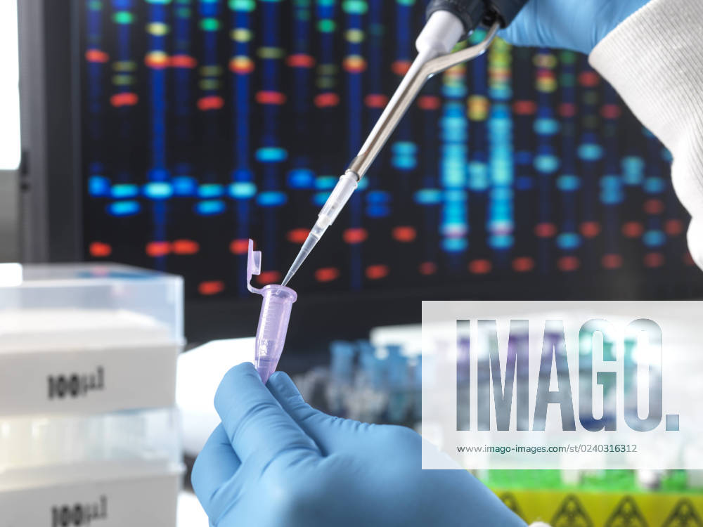 Scientist pouring DNA sample through | IMAGO stock photo