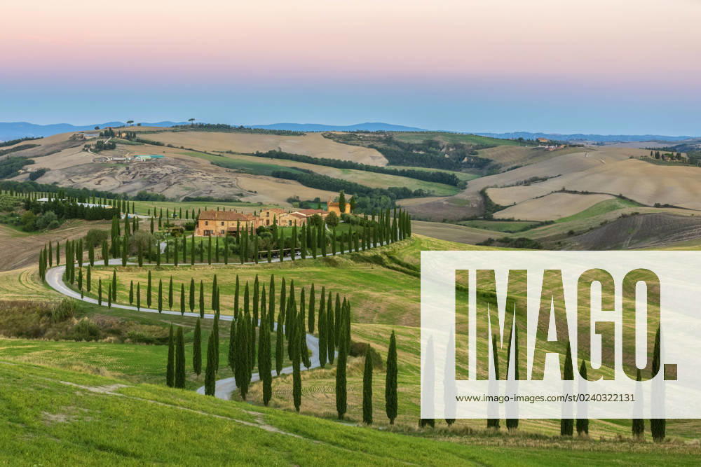 Italy, Tuscany, Treelined country road in summer at dawn, FOF13532