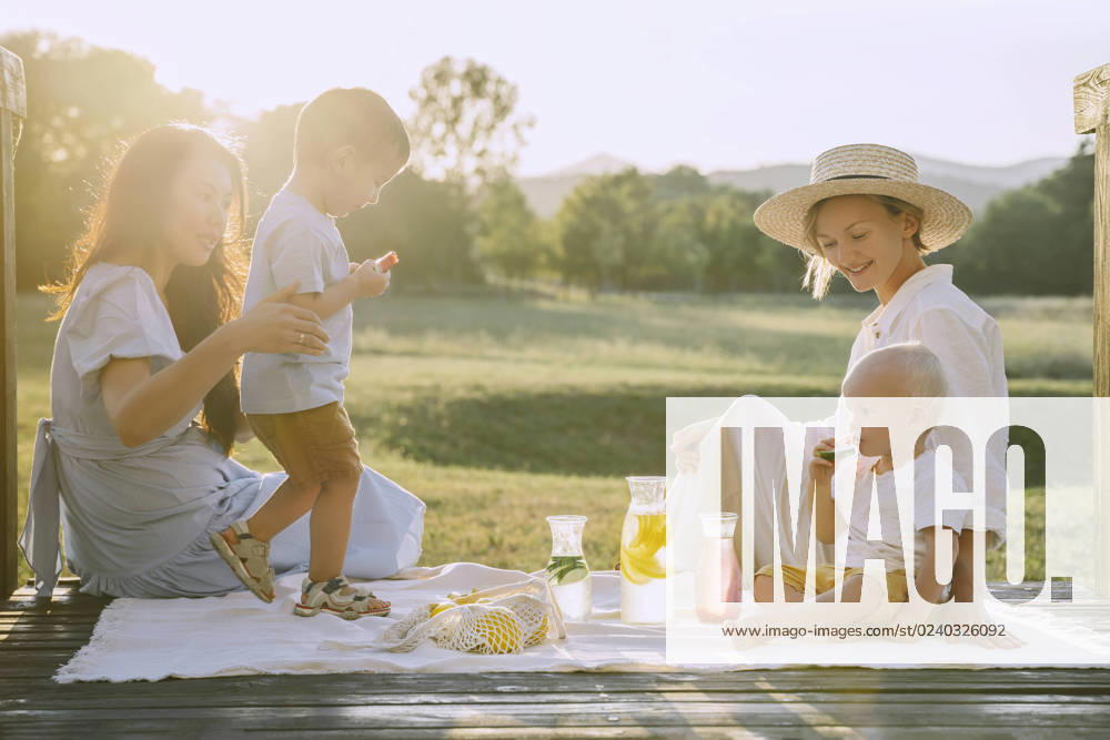 Women spending time together with sons at picnic model released, Symbolfoto, NDEF00389