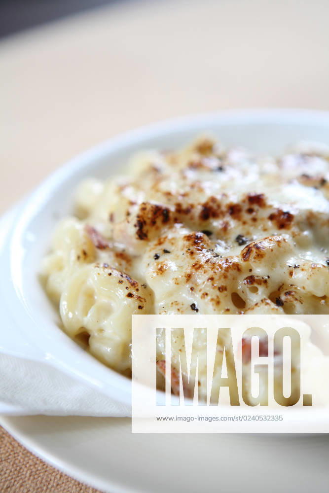 Macaroni gratin , 31118944.jpg, and, background, bake, baked, baking, bechamel, casserole, cheese, chicken, comfort, cooked, cooking, copy, cream, creamy, crumbs, cuisine, dining, dinner, dish, drink, elbow, flower, food, franch, french, gourmet, gratin, italian, lunch, mac, macaroni, meal, meat, mozzarella, oven, parmesan, pasta, plate, ramekin, salad, sauce, space, spoon, tea, tomato, vegetable, western, white, winter