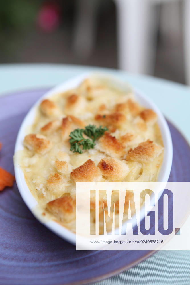 Macaroni and cheese , 31121434.jpg, american, and, baked, bowl, casserole, cheddar, cheese, cheesy, children, closeup, color, comfort, cooked, cream, creamy, crumbs, crust, cuisine, delicious, dinner, dish, eating, food, gratin, healthy, homemade, ingredient, kids, kitchen, lunch, mac, macaroni, macro, meal, mornay, mozzarella, noodle, parmesan, pasta, plate, product, recipe, sauce, snack, supper, tasty, tomato, vegetarian, white, yellow,