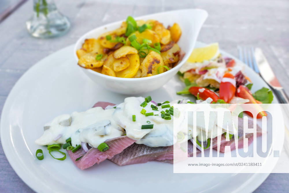 Matjes or soused herring, a mild salt fish with cream sauce containing onions, gherkins and apple, served with bratkartoffeln (German fried potatoes) and salad, selected focus Matjes or soused herring, a mild salt fish with cream sauce containing onions, gherkins and apple, served with bratkartoffeln (German fried potatoes) and salad, selected focus, narrow depth of field