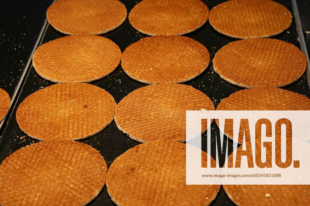 Dutch stroopwafel waffles cookies on baking pan, Close up many freshly baked traditional round shaped sweet Dutch stroopwafel (syrup waffles) cookies on baking pan, high angle view, Close up many freshly baked traditional round shaped sweet Dutch stroopwafel (syrup waffles) cookies on baking pan, high angle view, 24.03.2023,