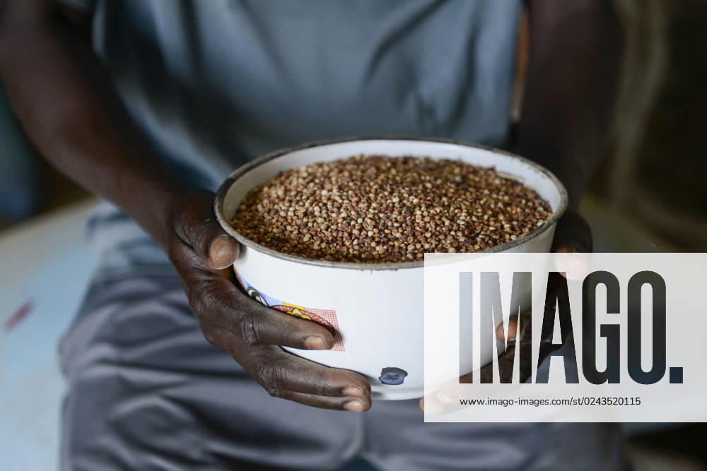 TSCHAD , GuÃ ra, Bitkine, Dorf Abtouyour, Aura Caritas Projekte, Getreide Saatgut Bank, Sorghum Einlagerung für Hungersnot Bitkine GuÃ ra Chad