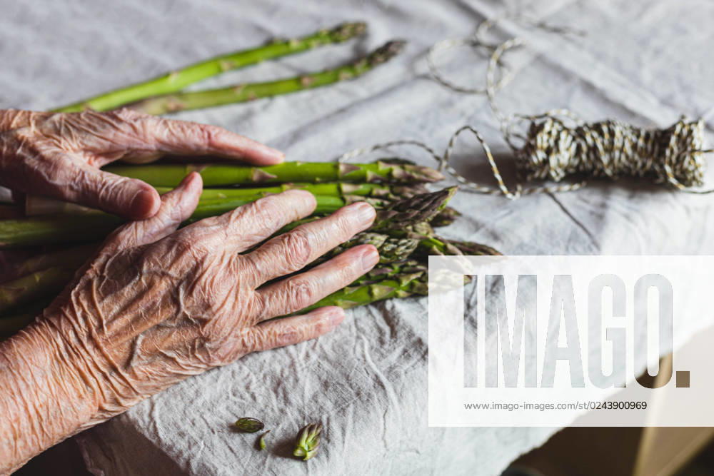 IMAGO Creative: Food, Spargel wrinkled hands of an old woman tying green asparagus Öhringen, Baden-Württemberg, Germany CR_DVHK230411-1169229-01