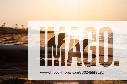 A unique, surfboard on the sandy beach under the light of sunrise *** einer unique, Surfbrett am der sandiger Strand unterhalb der Licht des Sonnenaufgang 2719088