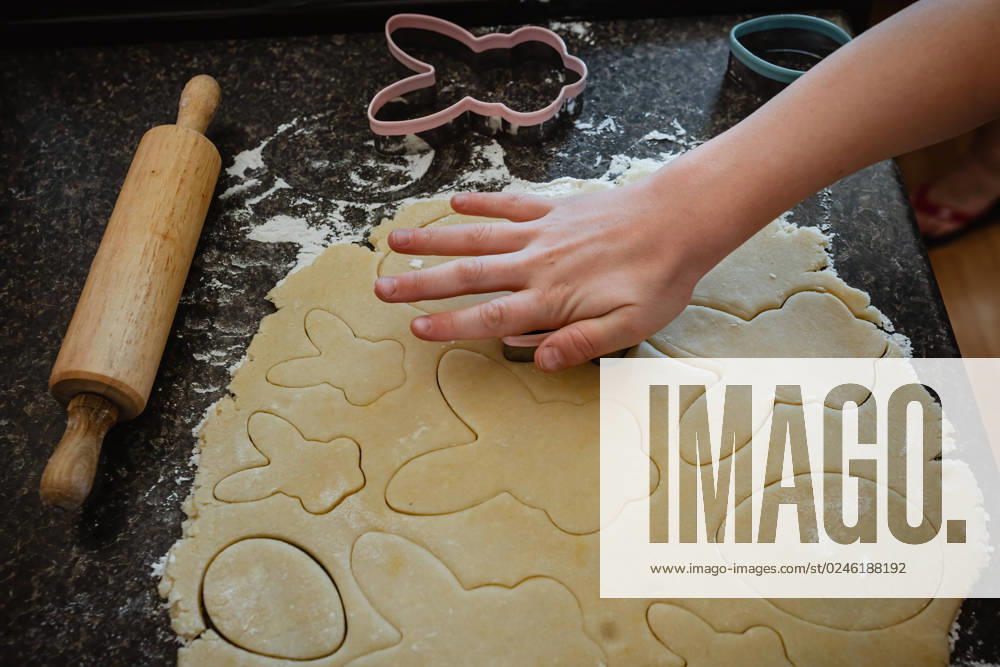 Person preparing Easter shaped cookies Jackson, Missouri, United States R_WEKW230306C-1146994-01 ,model released, Symbolfoto