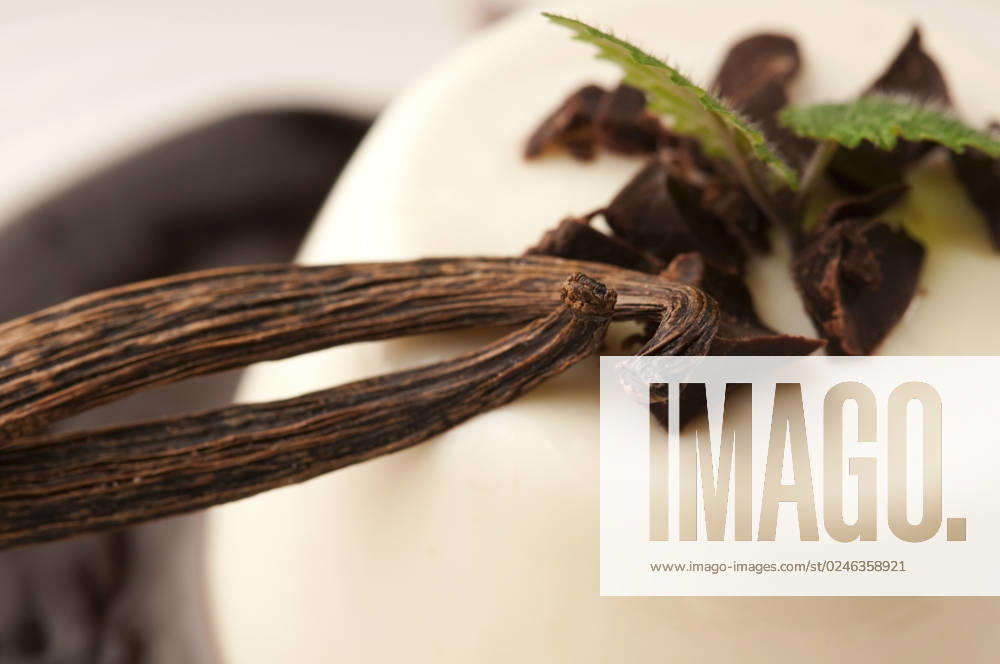 Panna Cotta with chocolate and vanilla beans