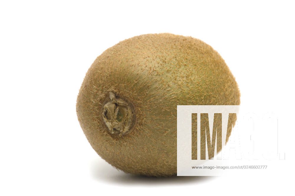 One kiwi on white background