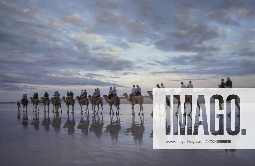 Australia, Western Australia, Broome, camel and tourist on beach