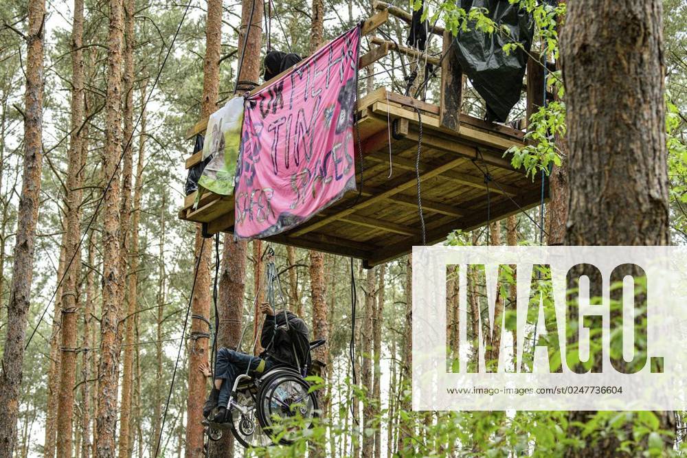Umweltschützer demonstrieren in der Wuhlheide in Berlin gegen den Bau der geplanten Straße Tangentiale Verbindung Ost. Dafür seien dort vier Bäume besetzt und Baumhäuser errichtet worden, teilten die Organisatoren mit. Neue Waldbesetzung in Berlin & queerfeministisch! Ein Teil der Wuhlheide soll für eine neue Straße gerodet werden. Nicht mit uns! , twitterten die Aktivisten., fotografiert am 14. Mai 2023 in Berlin. Deutschland Berlin Berlin