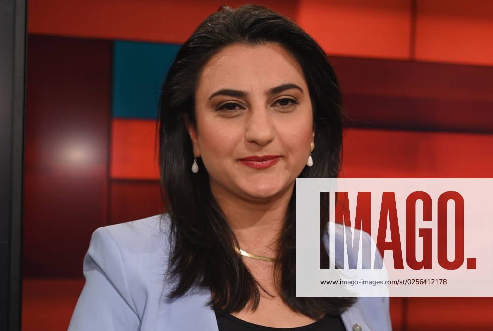 The journalist Nalan Sipar, journalist and reporter for the WDR, among others, runs a bilingual Youtube channel for the German-Turkish community as a guest on the ARD talk show Hart aber Fair with the topic Noch kein Sieg Wackelt der ewige Erdogan (Still no victory for the eternal Erdogan)