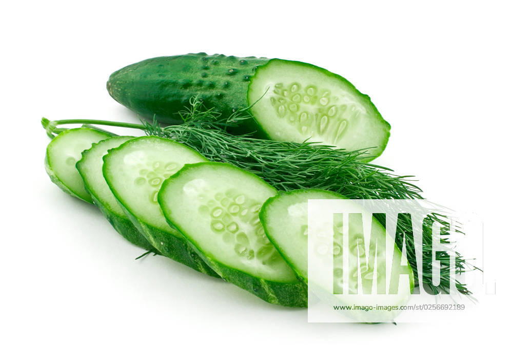 IMAGO Creative, Food, Gurkensalat sliced cucumber and dill isolated on white background