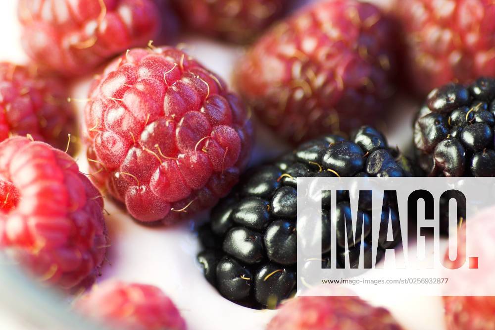 Raspberries and blackberries on creamy yoghurt, close-up