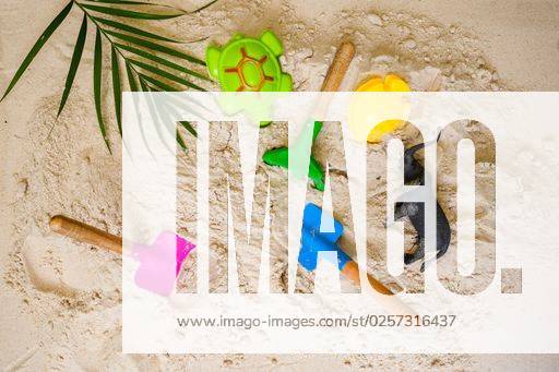 A flat lay of colorful sand toys including shovels and animals on the sand *** einer flach legen des farbenfroh sandigen Spielzeug einschließlich Schaufeln und Tiere am der sandigen 7211318