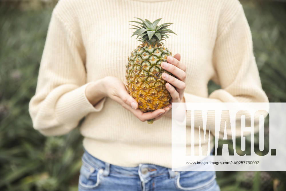Woman holding fresh pineapple in hands model released, Symbolfoto property released, PCLF00451