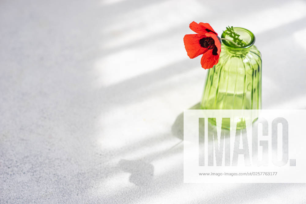 From above interior decor glass vase with red poppy flower in white table on sunny day AnnaBogush_ID14238_428548_002