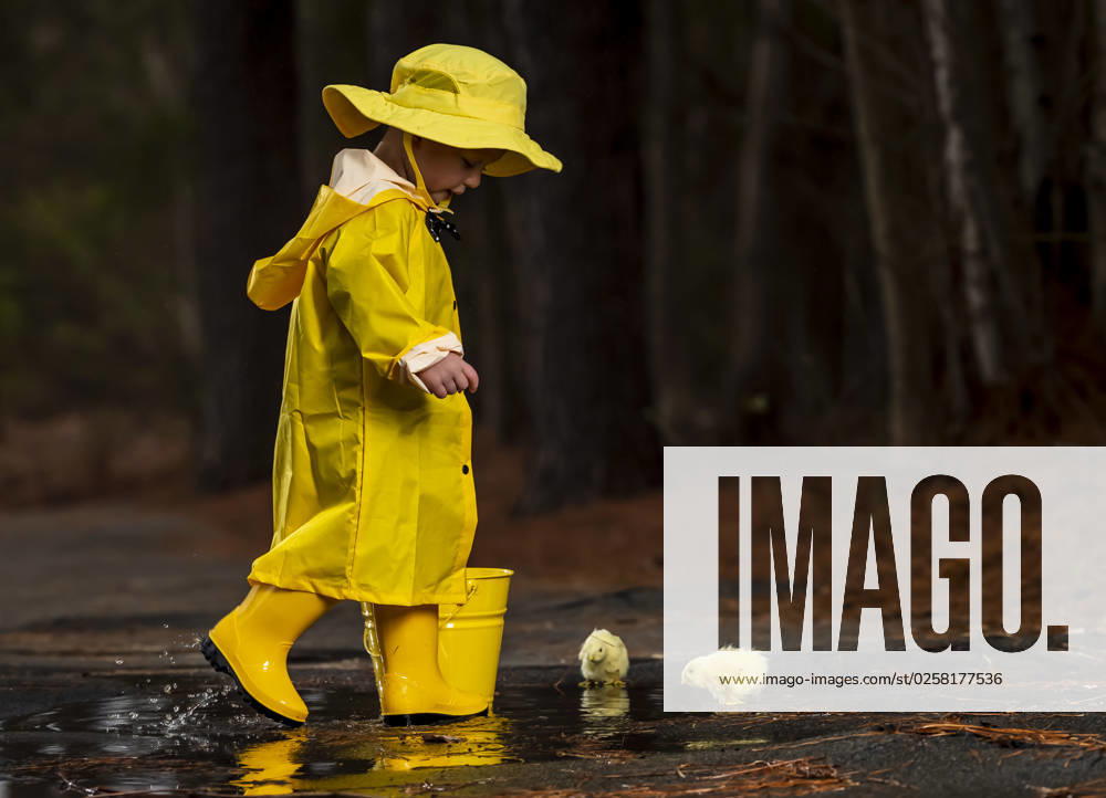 Child Enjoying The Rain In His Galoshes A small child plays in the rain while little chicks try to get a drink of water ,model released, Symbolfoto
