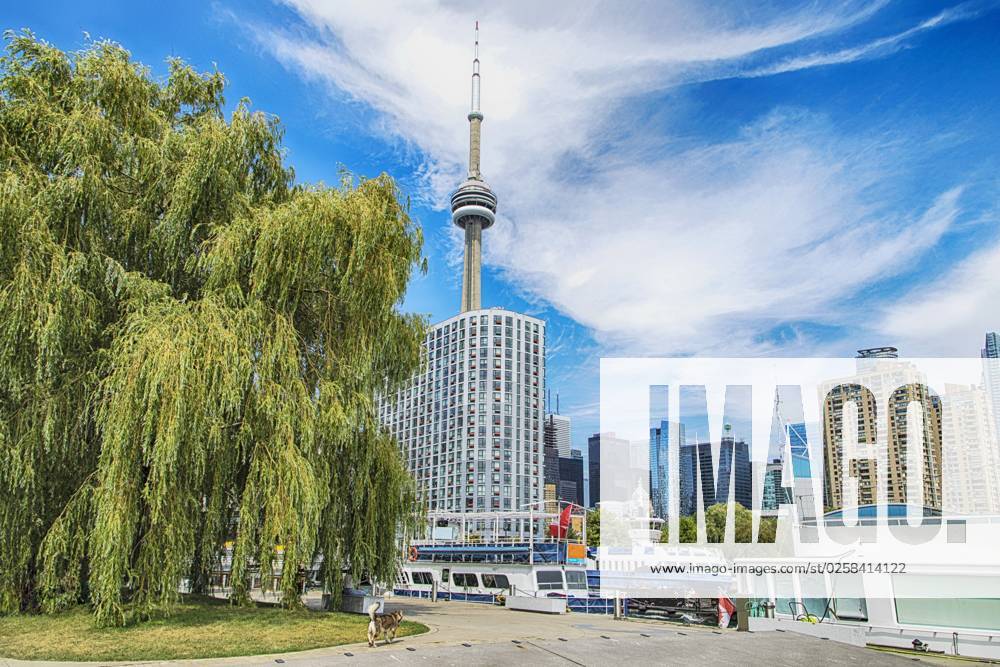 Waterfront on Lake Ontario in Toronto. View on CN Tower, Canada Waterfront on Lake Ontario in Toronto. View on CN Tower, Canada