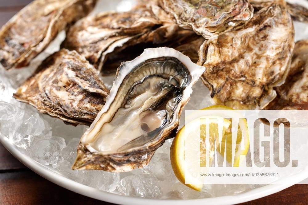 Oysters AFLO212747404 , 212747404.jpg,
