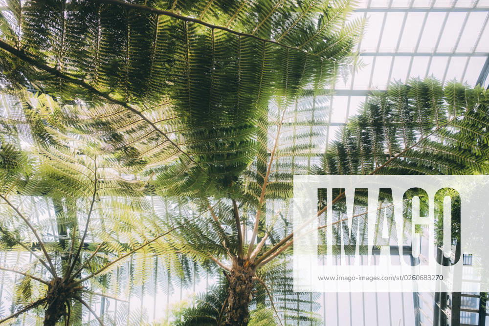 Travel Paris Paris, 18 05 23 greenhouses in the jardin des plantes, Paris is one of the most beautiful and romantic cities in the world,