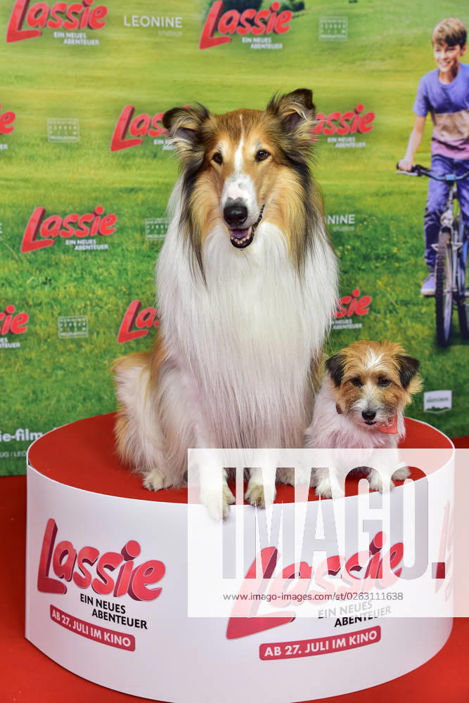 Erlin premiere LASSIE dog Lassie, and Pippa arrival, red carpet to Berlin premiere LASSIE a new adventure 09 07 2023 Photopress Mueller