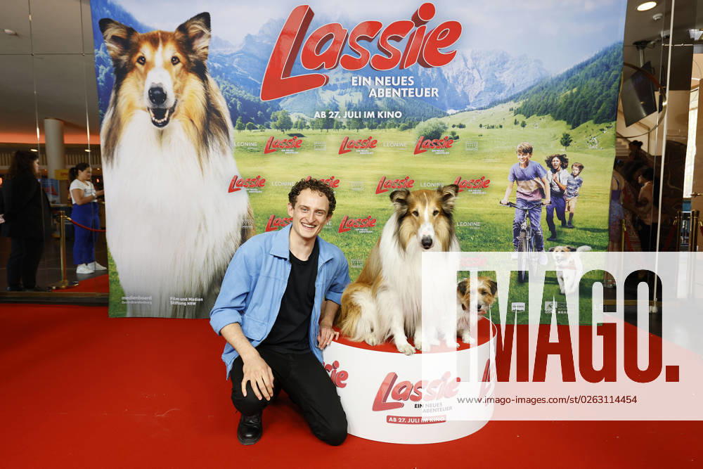 Julian Janssen with the film dogs Lassie and Jack Russell Terrier Pippa at the Lassie A New Adventure film premiere on 9 06 2023 in Berlin Lassie film premiere in Berlin