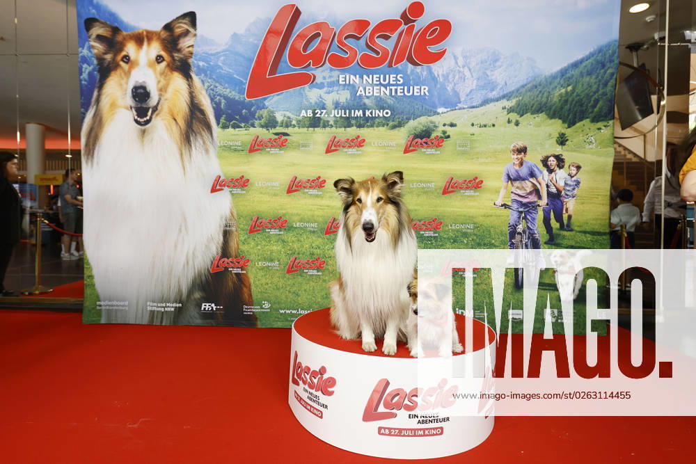The two movie dogs Lassie and Jack Russell Terrier Pippa at the Lassie A New Adventure movie premiere on 9 06 2023 in Berlin Lassie movie premiere in Berlin
