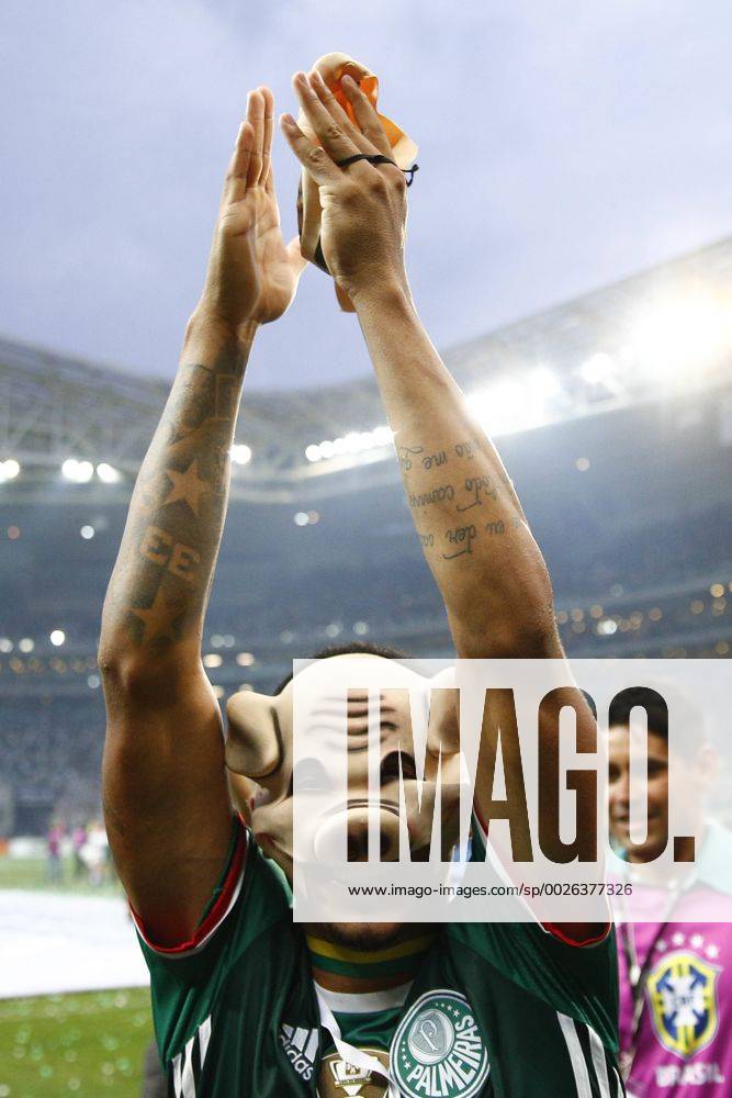 - SPORT Fußball, SE Palmeiras gewinnt brasilianische Meisterschaft Palmeiras x Chapecoense SÃO PAULO, SP - 27.11.2016: PALMEIRAS X CHAPECOENSE - Gabriel Jesus celebrates the title with pig mask during the game between Palmeiras and Chapecoense held at Allianz Park, West Zone of São Paulo. The match is valid for the 37th round of the Brasileirão 2016 Chevrolet. (Photo: Marco Galvão Fotoarena) x1236638x MarcoxGalvão