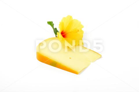 Slice of gouda cheese with hibiscus flower on white background gouda, cheese, dairy, slice, piece, fresh, hibiscus, flower, blossom, bloom, yellow, organic, healthy, snack, gourmet, ingredient, food, studio shot, white background