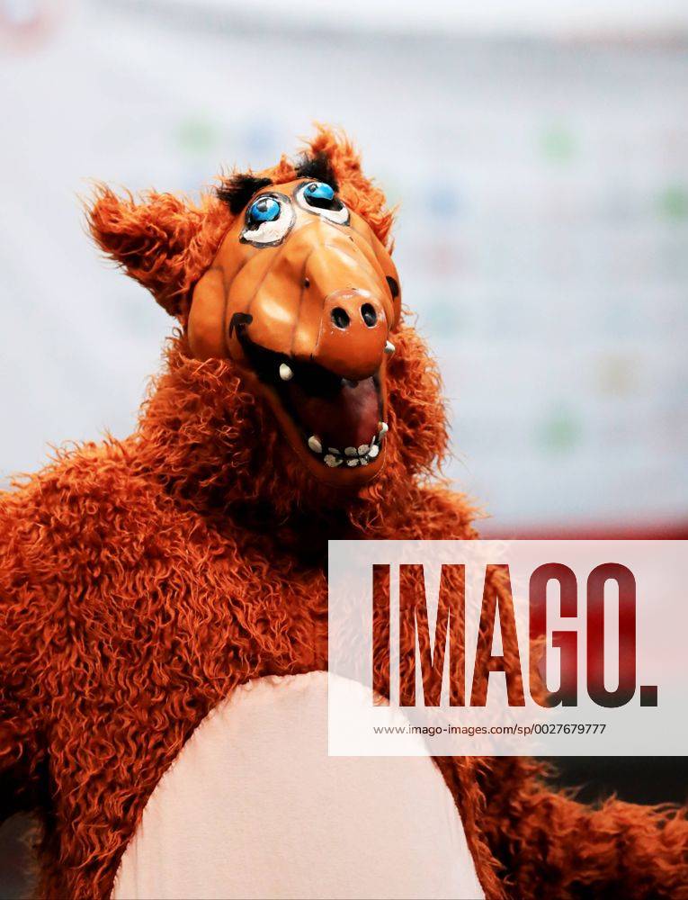 SPECIAL OLYMPICS - SOWWG 2017 GRAZ,AUSTRIA,19.MAR.17 - SPECIAL OLYMPICS, FLOORBALL - World Winter games Winterspiele Spiele Summer games round robin games. Image shows a fan from Austria Europe with an Alf costume. GEPAxpictures Buehner