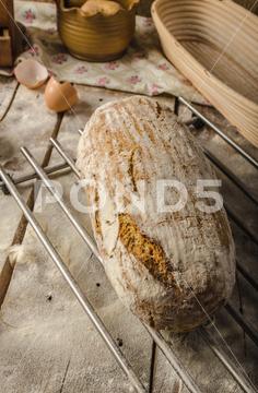 Homemade rustic bread, baked in oven, wheat leaven, breaded in a basket bread, bakery, food, fresh, background, wheat, loaf, organic, flour, grain, wooden, table, whole, white, baking, healthy, bake, meal, rustic, breads, brown, dough, breakfast, agriculture, eating, rye, closeup, dark, traditional, baked, wood, homemade, isolated, baguette, gourmet, natural, pastry, diet, seed, oat, black, basket, leaven, bio