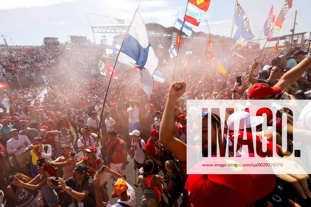 Motorsports: FIA Formula One World Championship WM Weltmeisterschaft 2017, Grand Prix of Hungary, Fans Budapest Hungary ZWEIx