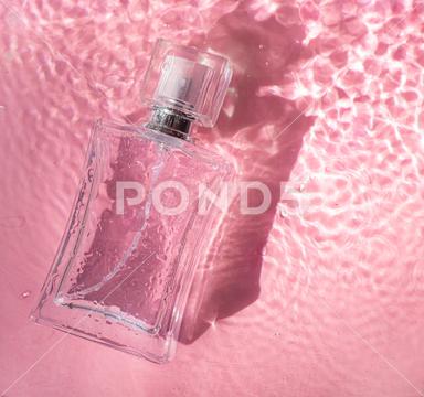 Perfume bottle on the background and water drops. A bottle of perfume without inscriptions . Smell. Perfume on a pink background. Water drops. Copy space. Article about the choice of perfume blossom, copy space, droplet, perfumed, relaxation, romantic, marketing, abstract, minimal, futuristic, bubble, cosmetic, drops of water, flatlay, flower, foliage, fragrant, glass, flat lay, glamour, aromatherapy, transparent, elegant, mockup, fashion, scent, natural, spa, aromatic, drop, essence, concept, organic, luxury, fresh, essential, reflection, wave, aroma, beauty, spray, water, background, pink, bottle, perfume, fragrance, liquid, perfumery