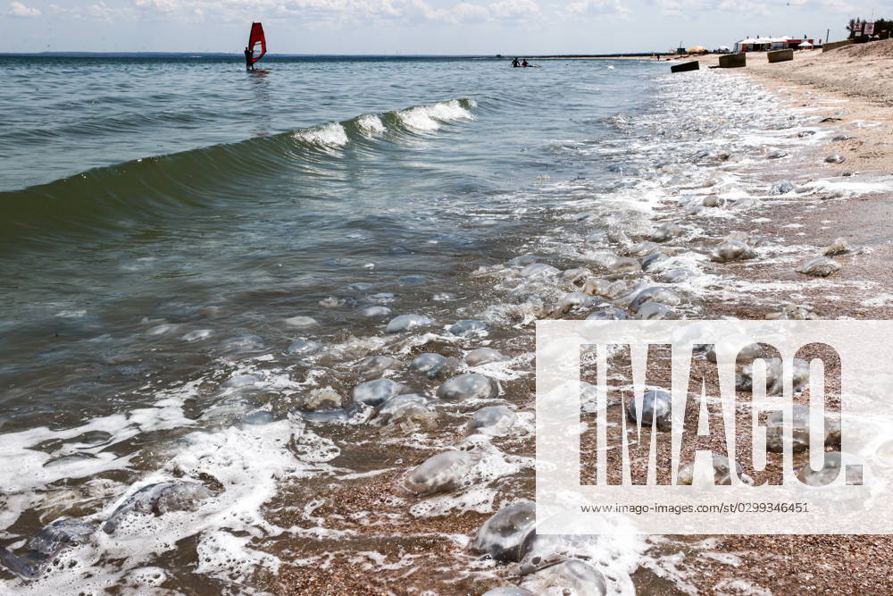 RUSSIA, REPUBLIC OF CRIMEA - JULY 16, 2023: Jellyfish swarm the coast of the Sea of Azov in Tatar Bay near the village of Mysovoye, Leninsky District, eastern Crimea. Sergei Malgavko TASS 60489857