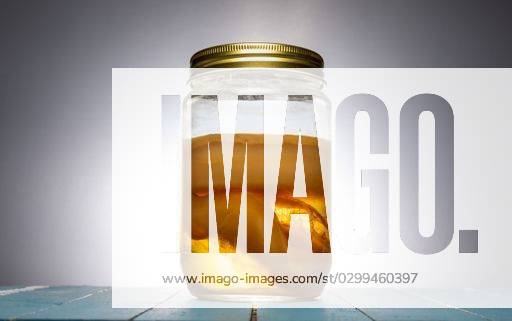 A glass jar containing a kombucha scoby, also known as a kombucha mother or kombucha mushroom *** einer Glas jar enthaltend einer kombucha scoby, auch bekannt als einer kombucha Mutter Oder kombucha Champignon 19925607 RECORD DATE NOT STATED