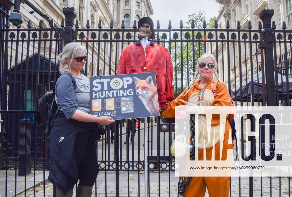 Protesters outside Downing Street. Hunt saboteurs and animal rights activists marched through central London to Downing Street demanding that the fox hunt ban is enforced. Despite hunting with dogs being illegal, hunting groups still engage in so-called â€oetrail huntingâ€Â, which activists describe as a smokescreen for actual fox hunting. London United Kingdom - ZUMAv130 20230723_zip_v130_008