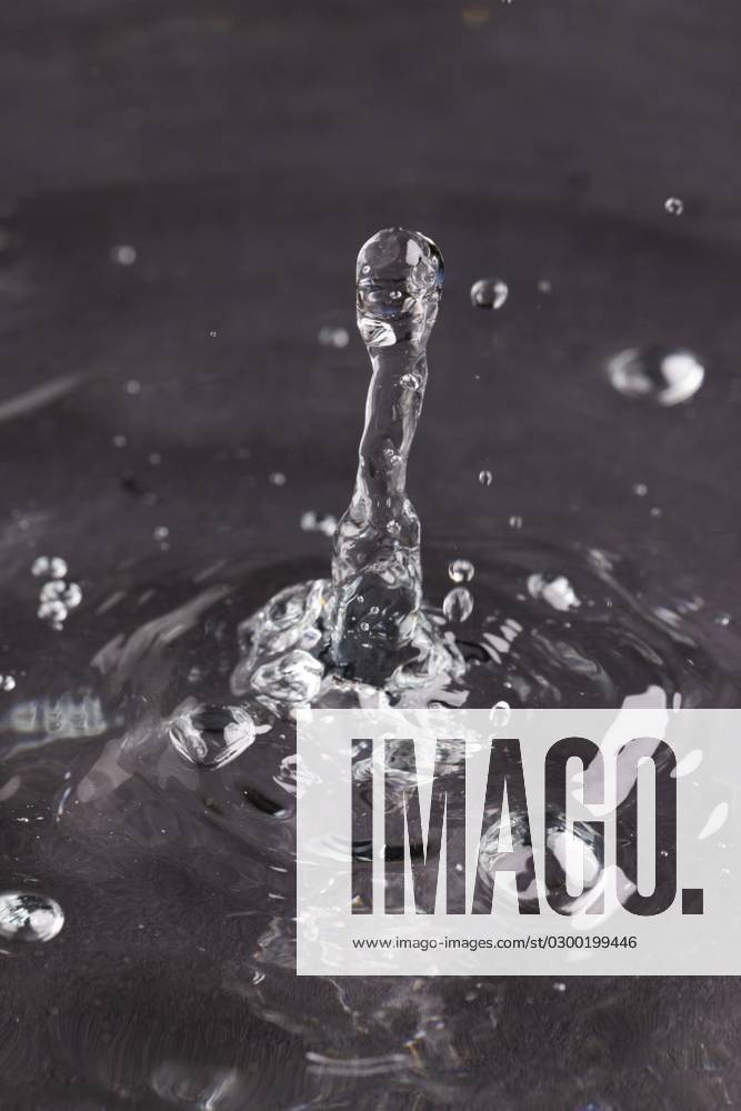 Close up of water drop falling into water with ripples and copy space on black background Close up of water drop falling into water with ripples and copy space on black background. Water, liquid and colour concept., model released, , property released, Cape Town, South Africa, 2023-06-07T22:00:00.000Z, 4132876.jpg, close,water drop,falling water,ripple,copy space,black background,liquid,colour,concept,drop,splash,abstract,design,background,wet,flow,fluid,closeup,illustration,wave,macro,business,graphic,symbol,flowing,isolated,color,drink,clean,water,falling,copy,space,black