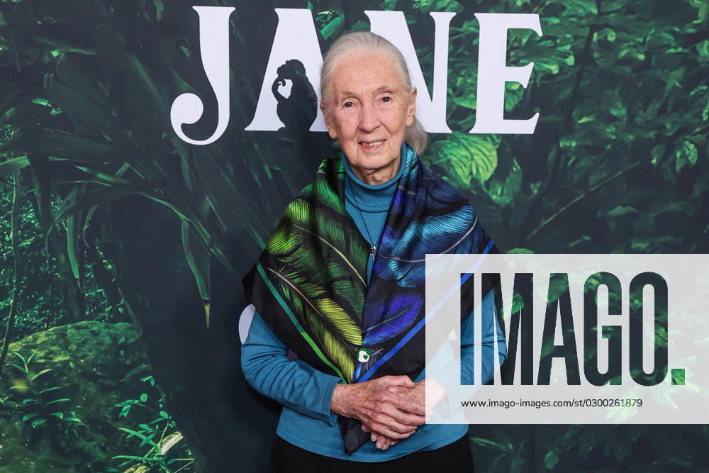IMAGO ICONS: Jane Goodall Premiere Of Apple TV+ Original Series Jane Season 1 - LA LOS ANGELES, CALIFORNIA, USA - APRIL 14: English primatologist and anthropologist Dr. Jane Goodall (Dame Jane Morris Goodall DBE, formerly Baroness Jane van Lawick-Goodall) arrives at the Los Angeles Premiere Of Apple TV+ Original Series Jane Season 1 held at the California Science Center at Exposition Park on April 14, 2023 in Los Angeles, California, United States. Photo by Xavier Collin Image Press Agency ABACAPRESS.COM Los Angeles California United States