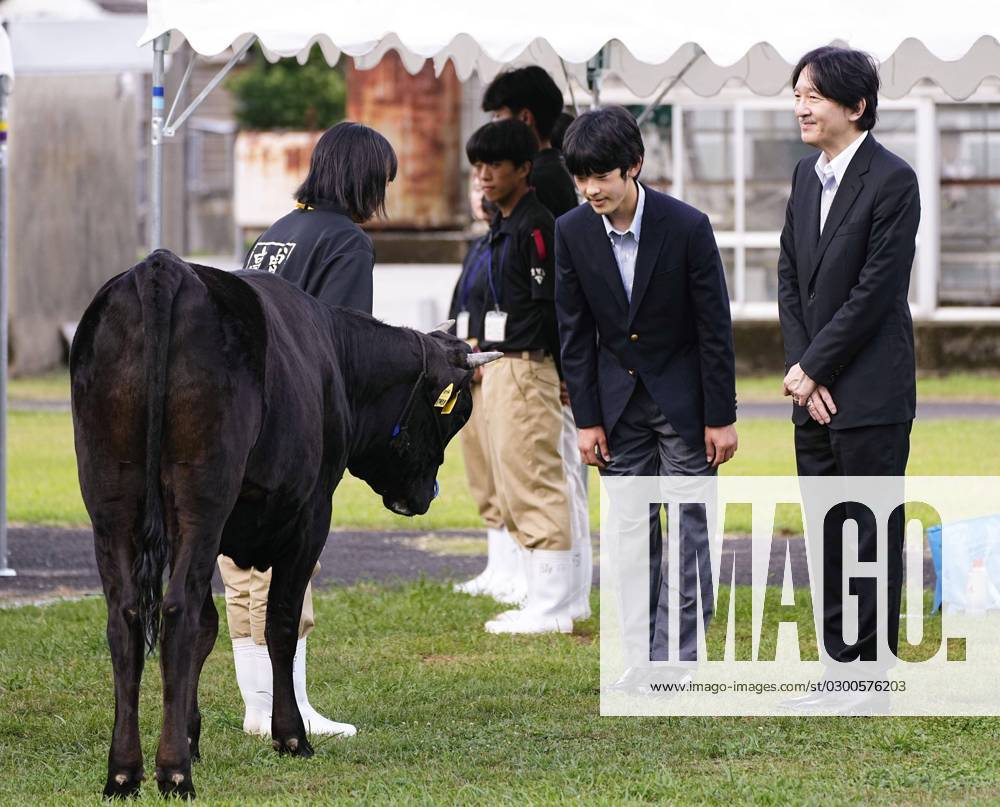 Crown Prince Fumihito at cultural festival Japanese Crown Prince Fumihito (R) and his son Prince Hisahito (2nd from R) visit a farm during a national high school cultural festival in Soo in Kagoshima Prefecture, southwestern Japan, on July 30, 2023. A14AA0001726492P