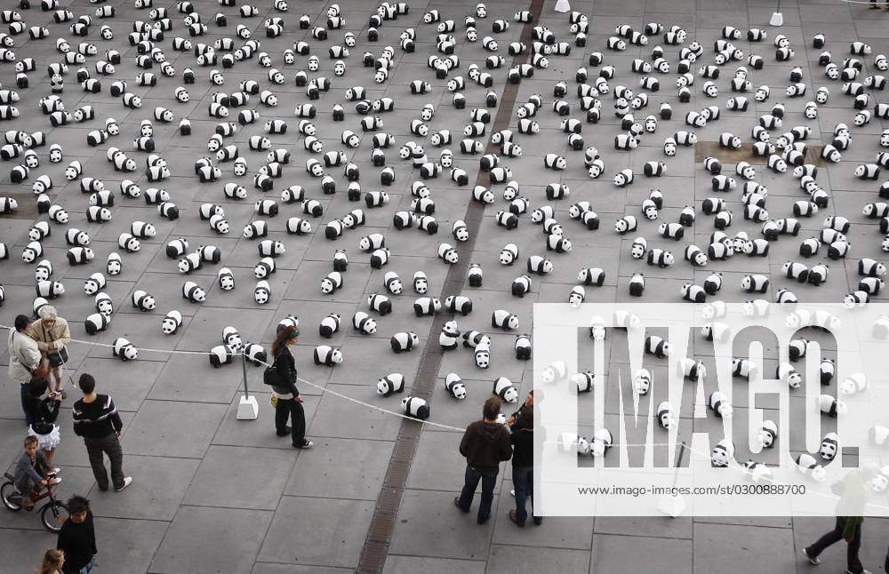 1,600 Pandas In Town - Bordeaux 1,600 papier mache pandas have been installed by members of the World Wildlife Fund (WWF) in the center of Bordeaux, southwestern France on September 7, 2008, to increase public awareness of the endangered species. According to recent investigations, there are currently only 1,600 giant pandas alive all over the world, about 1,000 of them in China. The exhibition called 1,600 Pandas In Town will also travel aound the world. The panda has been the WWF s symbol since it was formed in 1961. Photo by Patrick Bernard ABACAPRESS.COM Bordeaux France