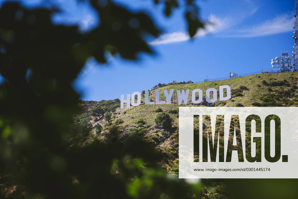 Symbol image Hollywood