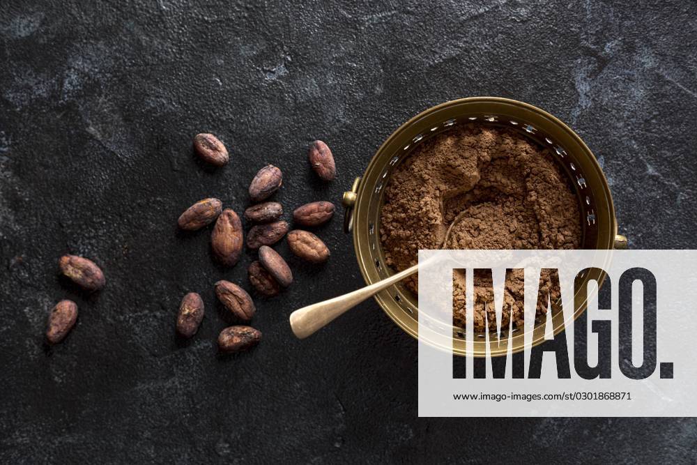 Top view Bowl with Cocoa powder Cocoa beans
