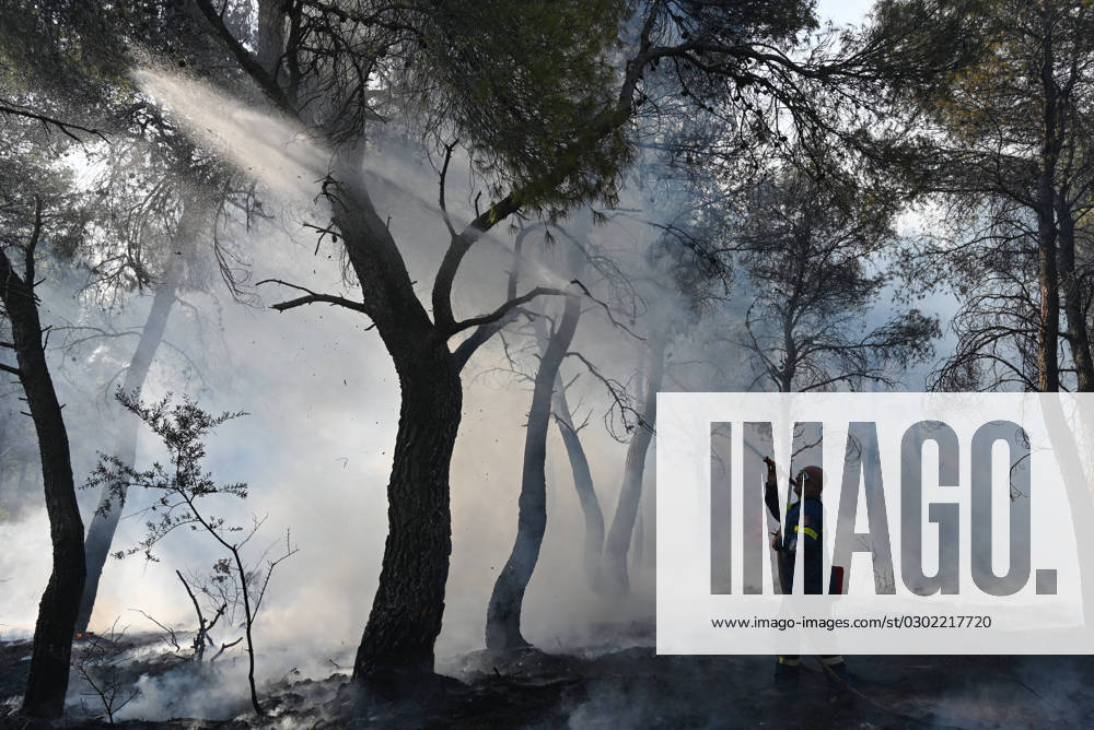 Wildfire continues to destroy forest in Parnitha near Athens A firefighter tries to extinguish a wildfire that continues to destroy forest land in mount Parnitha near Athens. Parnitha Greece