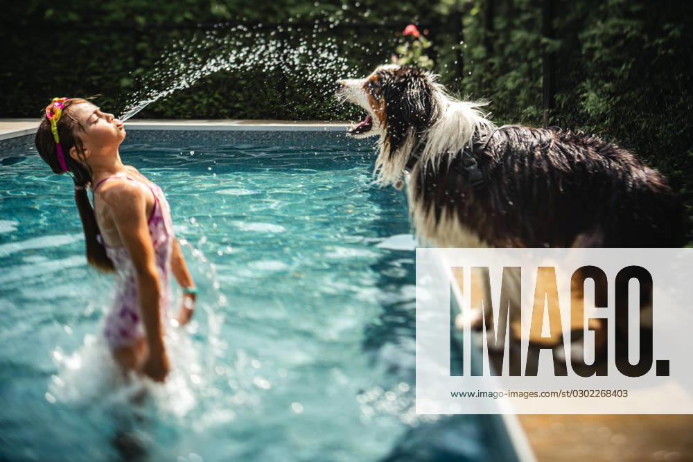 Girl splashing her dog at the pool on a hot summer day Québec City, Quebec, Canada CR_TYTZ230802-1225933-01 ,model released, Symbolfoto