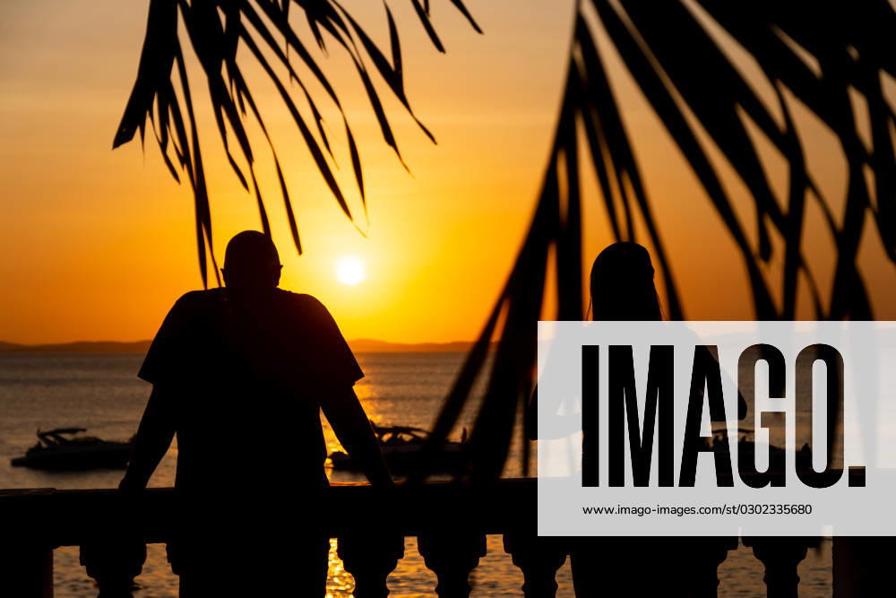 Silhouette of branches and people watching the sunset at Porto da Barra in the city of Salvador, Bahia. Salvador Bahia Brazil