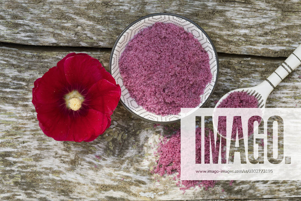 Hollyhock, Stock Rose, Stock mallow, Stock Mallow, Neck rose, Neck Rose, Brand Rose, Brand Rose Alcea rosea, althaea Rosea , Hollyhocks Salt, Flower salt from edible Flowers hollyhock Alcea rosea, althaea Rosea , selfmade hollyhock Salt BLWS693877