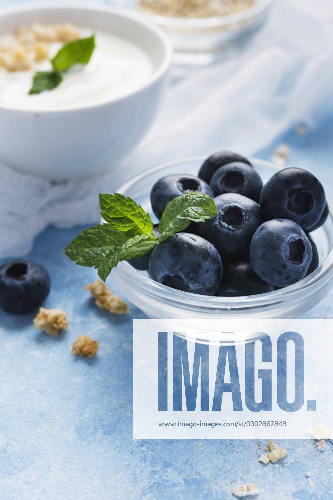Small Blueberries transparent Bowl