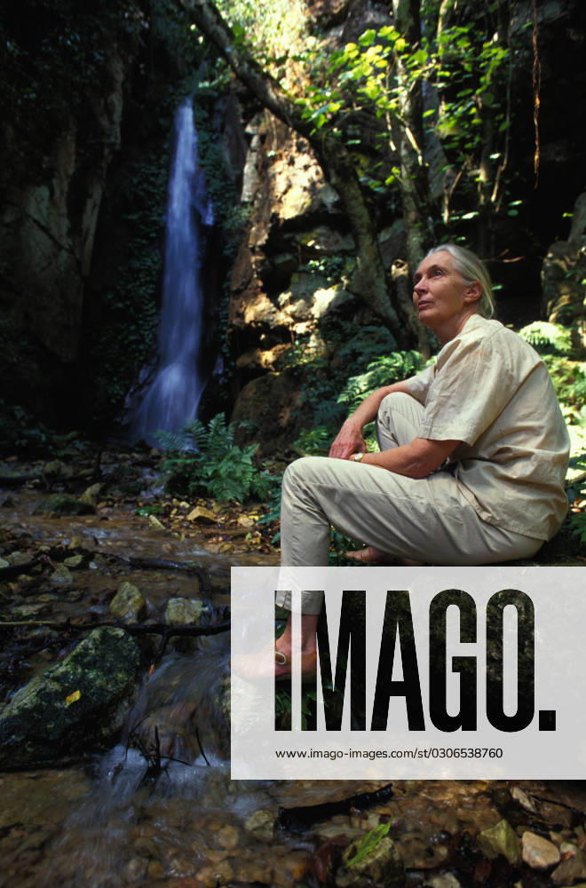 IMAGO ICONS: Jane Goodall DR. JANE GOODALL DR. JANE GOODALL at a waterfall. Gombe National Park Tanzania., Credit:DAVID HIGGS Avalon